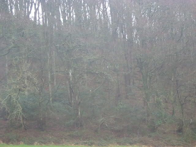 new20051722.jpg