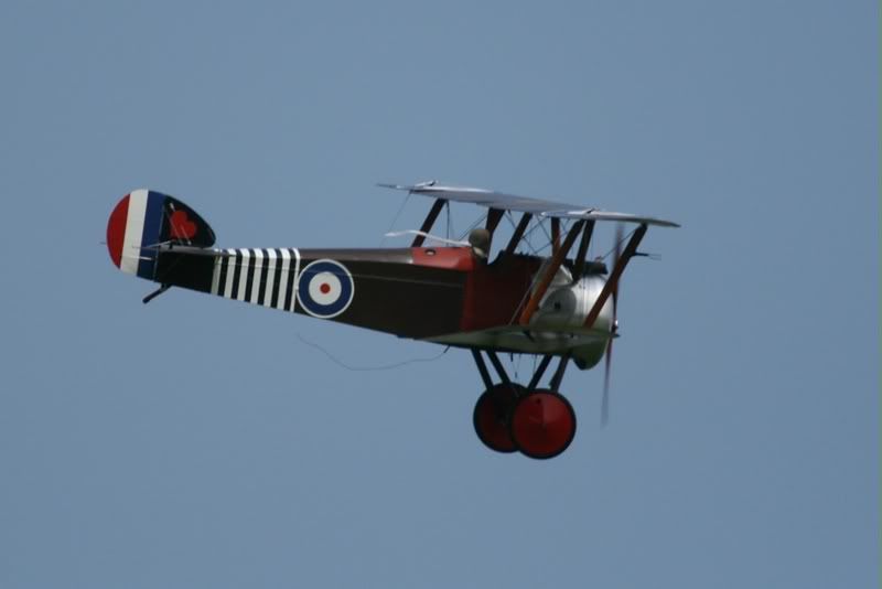 102a.jpg