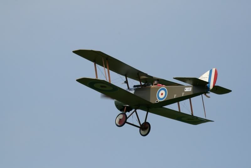 123a.jpg