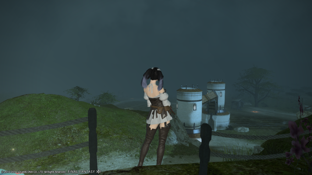 [Image: ffxiv_04042014_000526_zps4545a591.png]