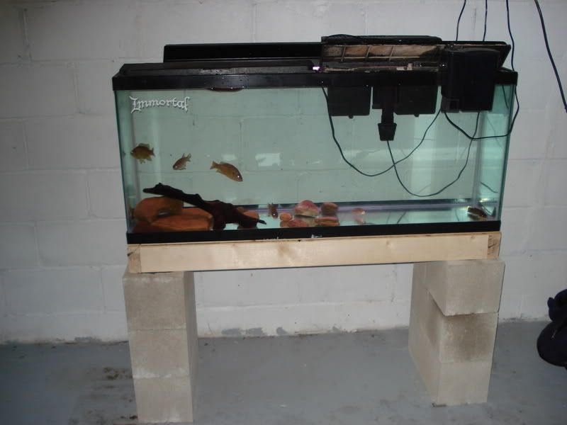 Wood Diy Aquarium Stand Cinder Blocks PDF Plans