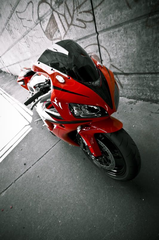 IMAGE: http://i38.photobucket.com/albums/e141/97accordnonvtec/harry/1.jpg