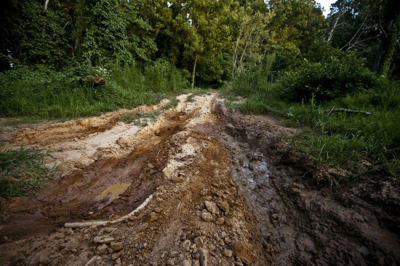 IMAGE: http://i38.photobucket.com/albums/e141/97accordnonvtec/jorDAN/IMG_2035.jpg