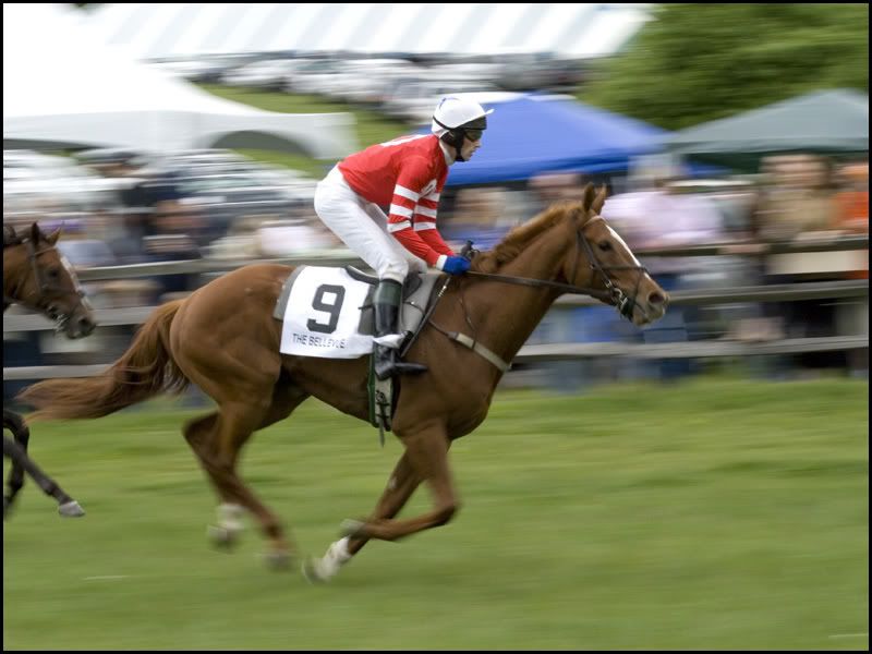 IMAGE: http://i38.photobucket.com/albums/e141/Captain078/Horse-1.jpg