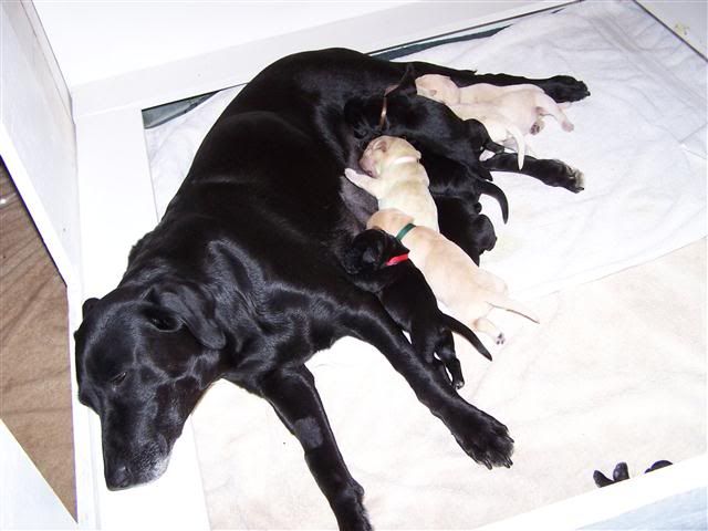 100_4926Small.jpg