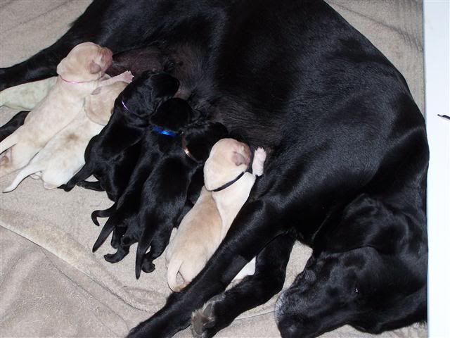 3DaysOld-AllTenEatingatOnce.jpg