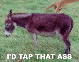 tapass8xx2qqnr2.gif