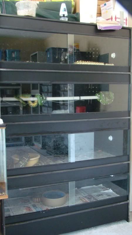 Junfolder09020.jpg