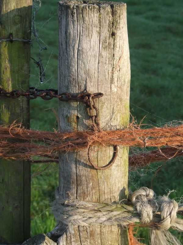 Wood, Metal, Rope