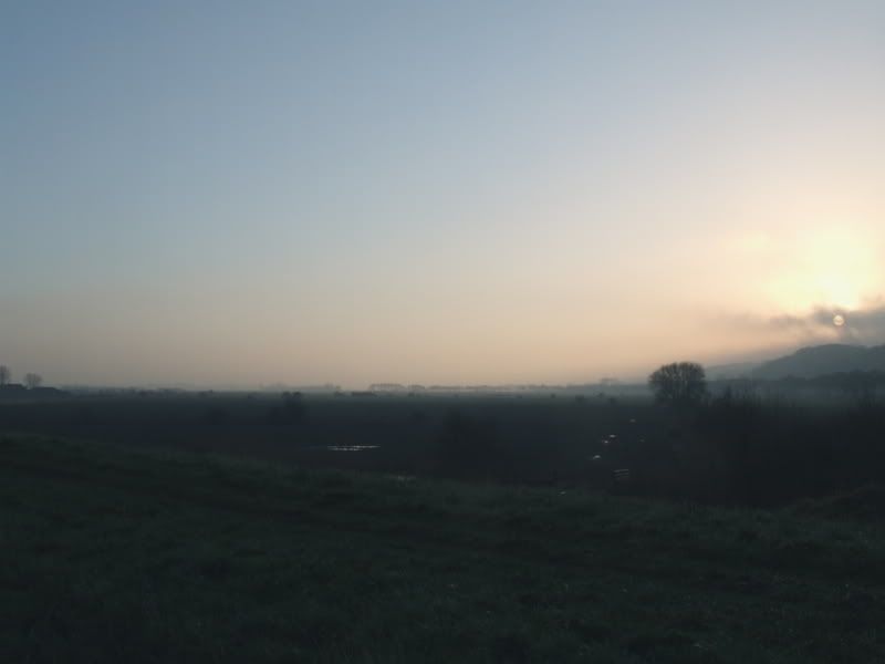 Morning on the Ooijpolder