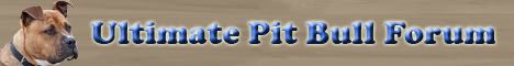 The Ultimate Pit Bull Forum