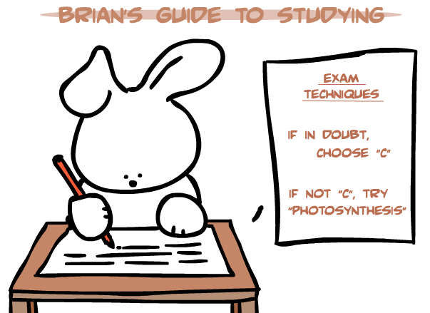 Study Cartoon Pictures, Images and Photos