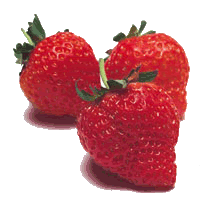 _strawberries.gif