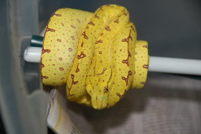 7a.jpg