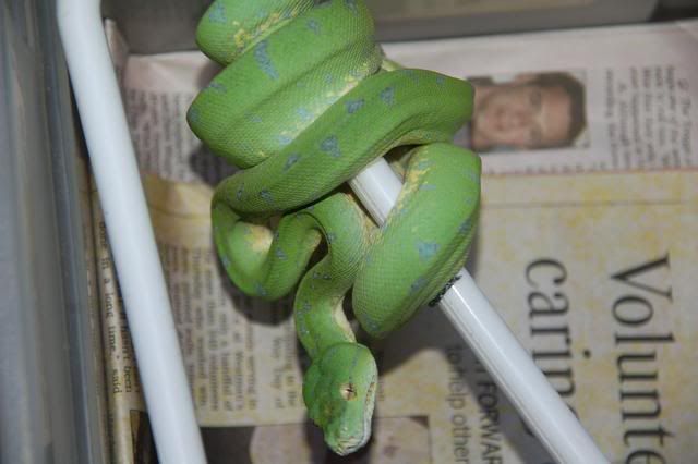 male4511-15-083.jpg