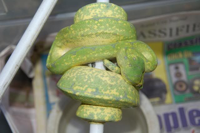 male4611-15-08.jpg