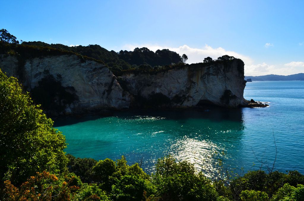 Above Cathedral Cove