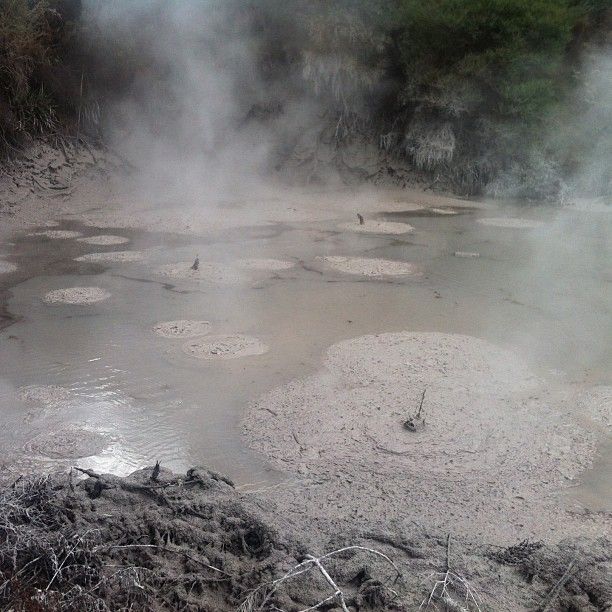 Mud Pots