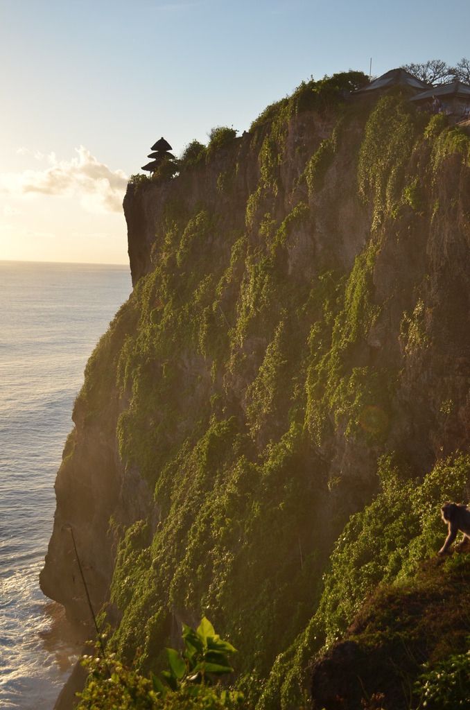 At Uluwatu Temple (monkey included)