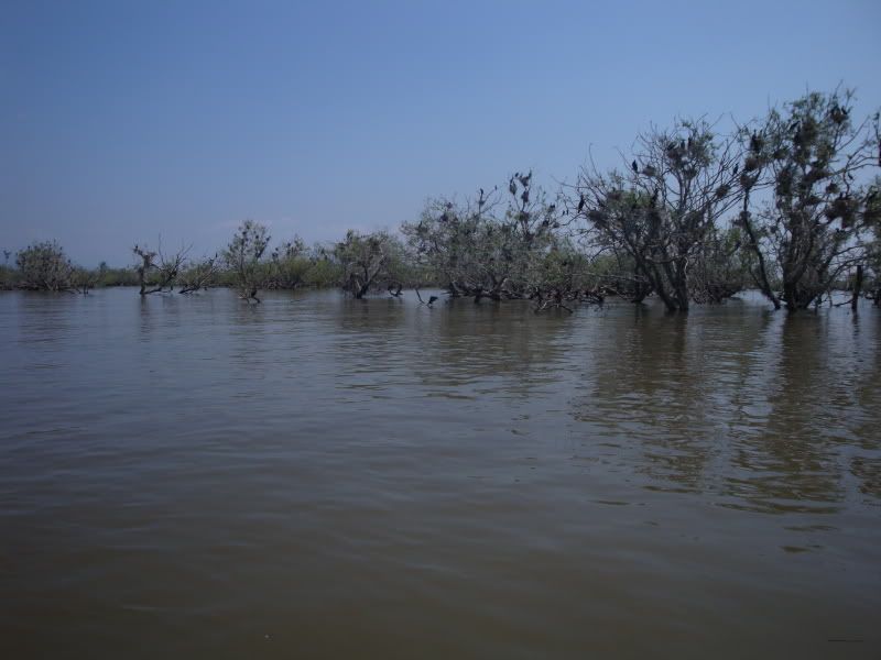 DSC01274.jpg