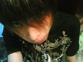 Photobucket - Video and Image Hosting