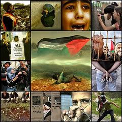 palestina Pictures, Images and Photos