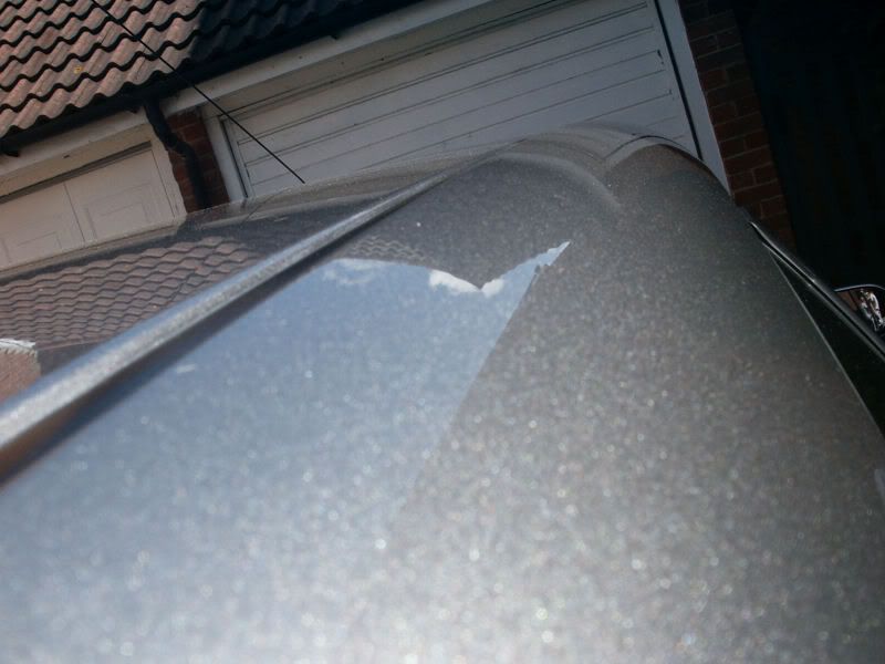 PICT0024e.jpg