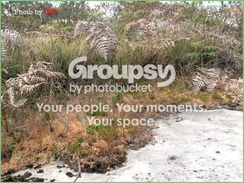 Photobucket - Video and Image Hosting