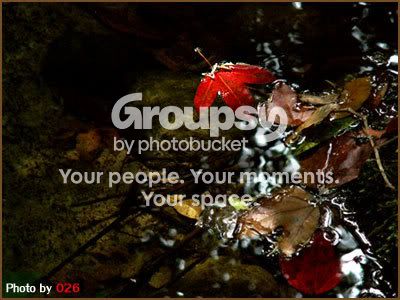 Photobucket - Video and Image Hosting