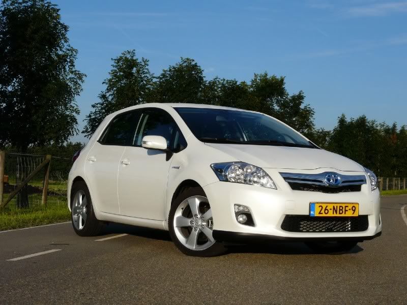 auris1.jpg