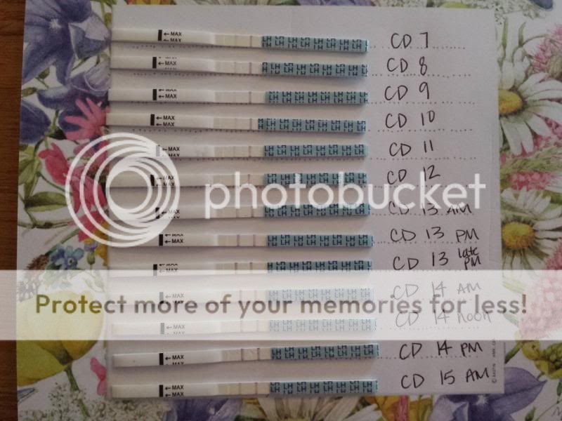 Wondfo Ovulation Strip Question BabyCenter