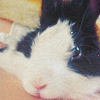 Icon #043