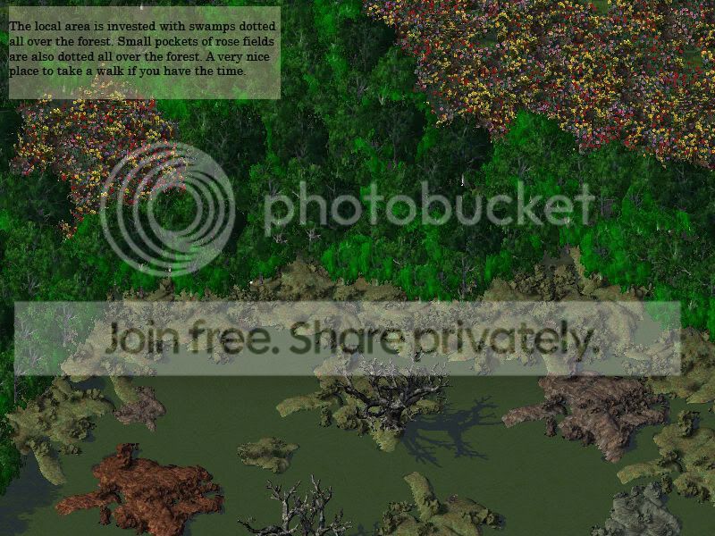 Swamp.jpg