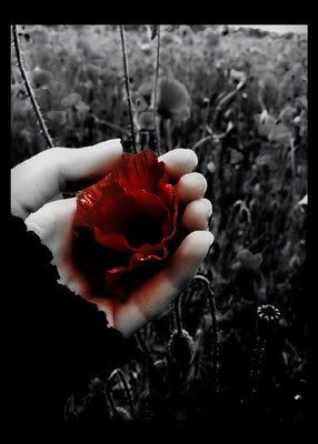 https://i38.photobucket.com/albums/e137/deathinthedarkness/sPacE/fLoR.jpg