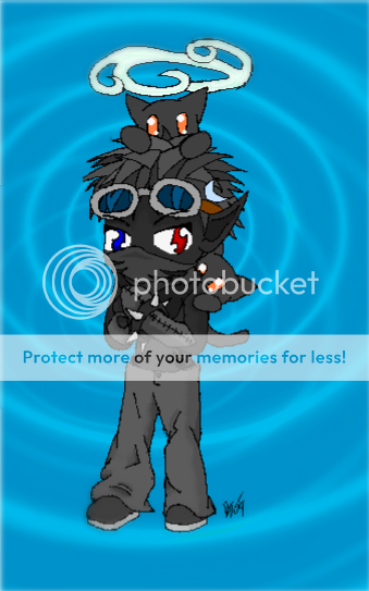 User Image