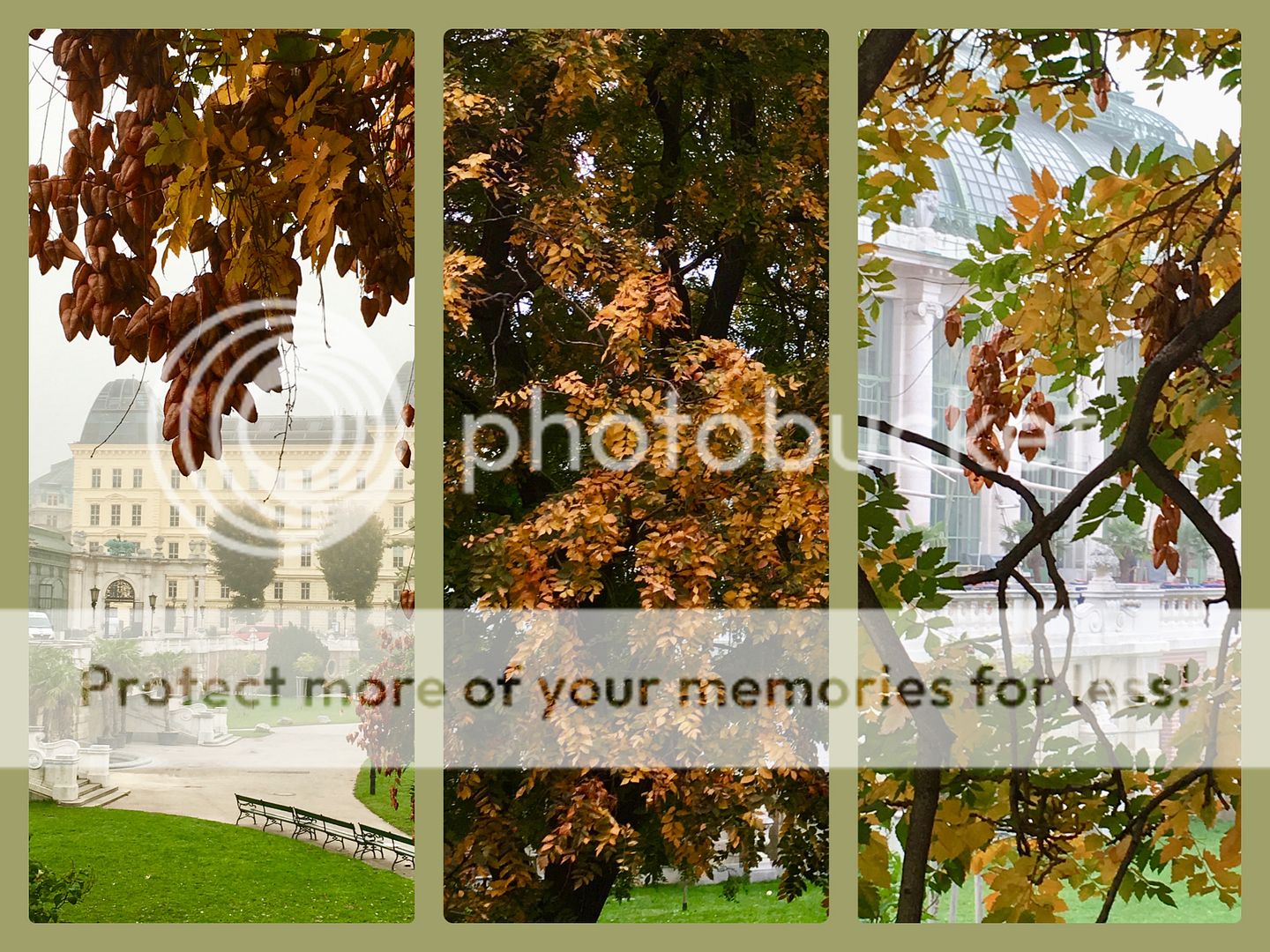  photo Herbst5_zpsoegkykun.jpg