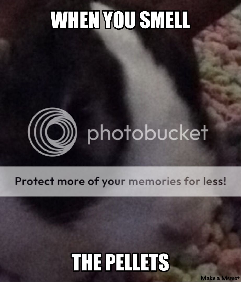  photo D7458378-D74F-4F1D-B388-855D2B88B207_zps0ypavzgw.jpg